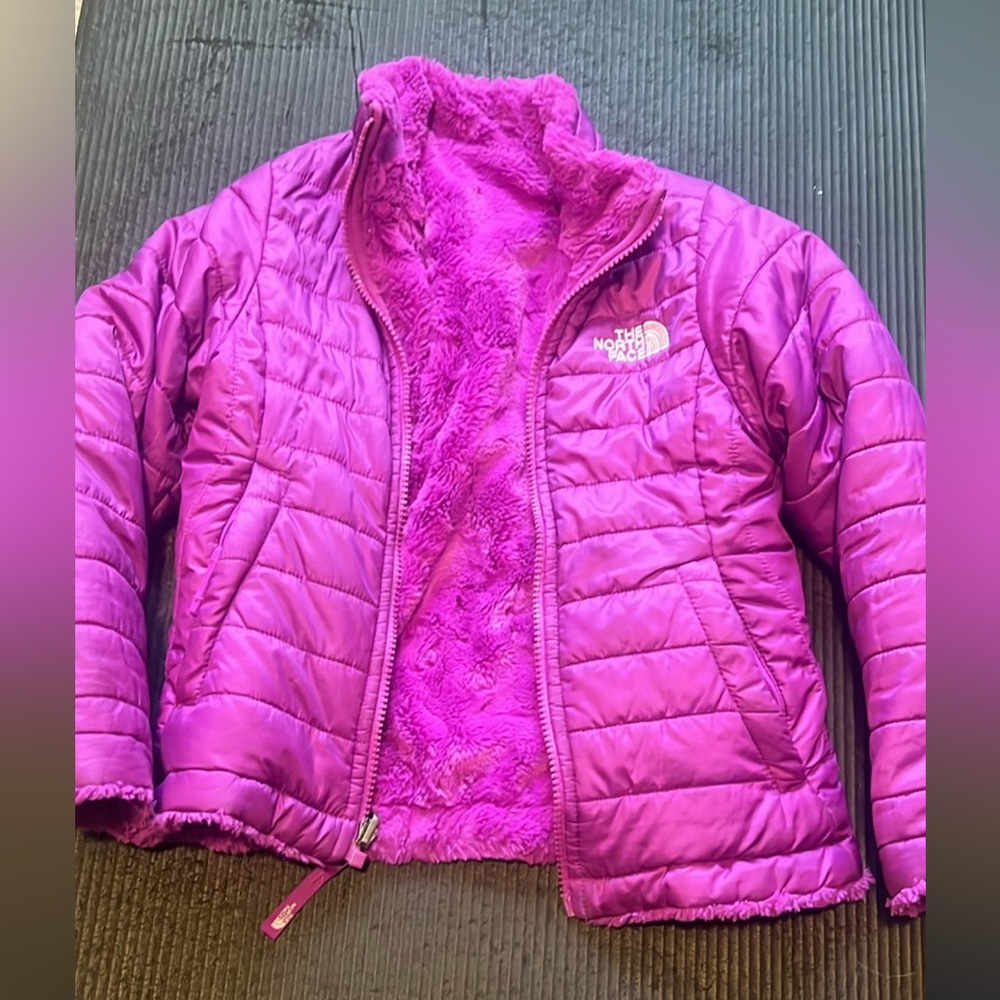 Northface mossbud coat